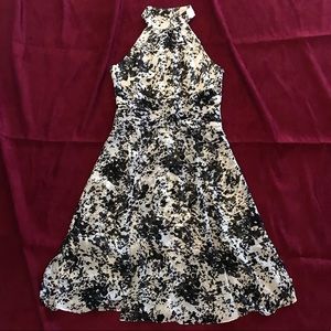 White House | Black Market Dress